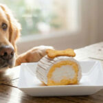 ペット ケーキ 犬用ケーキ ペットフード おやつ スイーツ 国産 誕生日